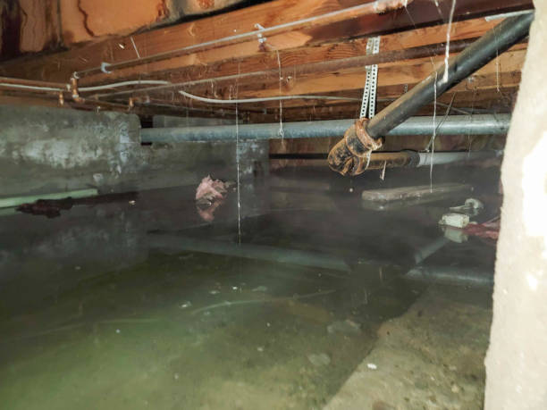  Marietta, GA Water damage restoration Pros
