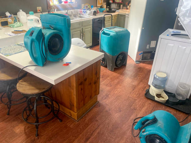 Best Local water damage restoration  in Marietta, GA