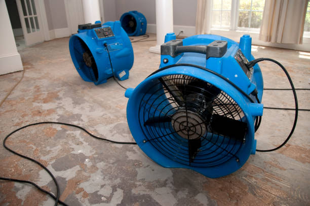 Best Sewage cleanup and water damage restoration  in Marietta, GA