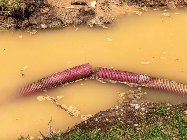 Best Professional water damage repair  in Marietta, GA