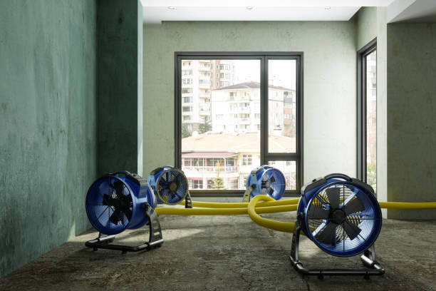 Best Professional water damage repair  in Marietta, GA